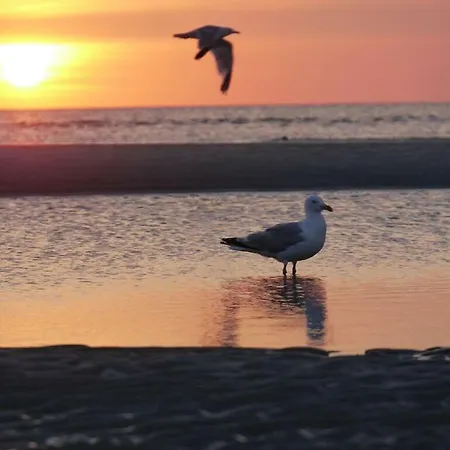 - Bella Mare - Nordseestrasse 3